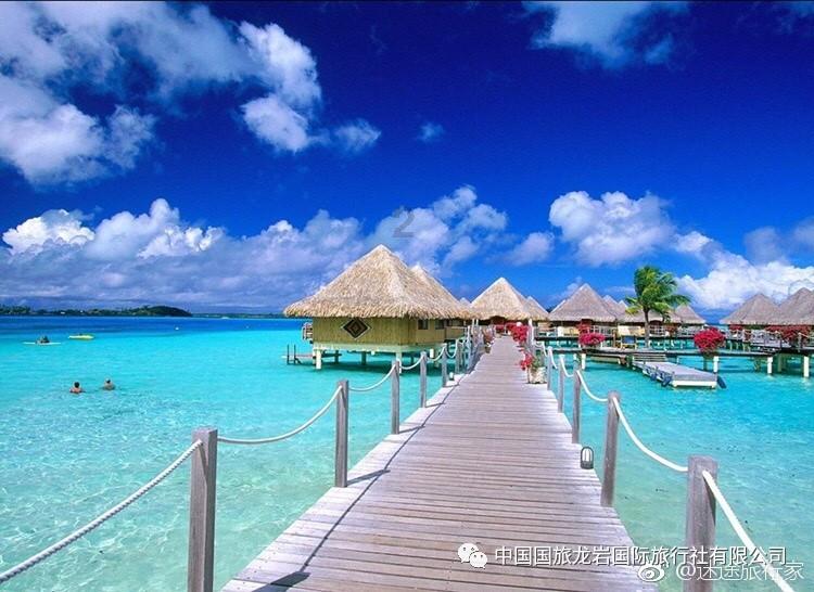 救援可爱的洋葱
