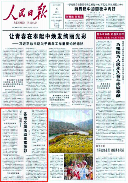 为什么现在年轻人都想创业、当网红？游戏画面