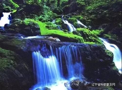 逃离惊魂鬼屋