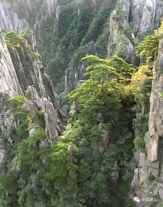 短剧投手掌钱:“挥金如土”,一晚亏10万